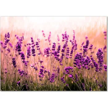 Obraz Skleněný panel 70 x 100 x 4 mm tvrzené sklo broušené fialový