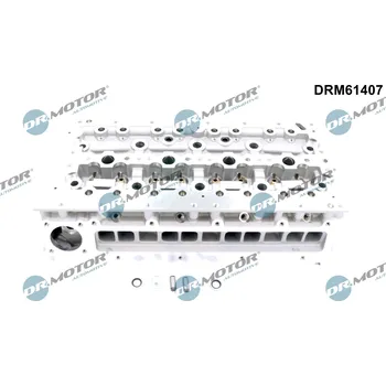 Blok motoru Hlava válce Dr.Motor Automotive DRM61407