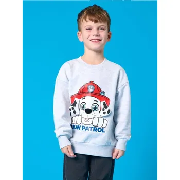 Oblečení a móda Sinsay - Mikina PAW Patrol - šedá - 800CG-09M - 800CG-09M-116