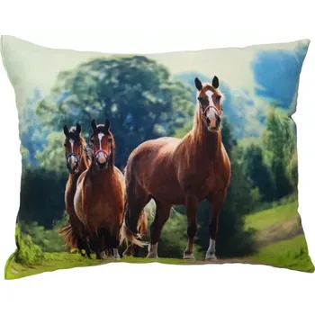 Dekorativní polštářek Polštářek s koněm , koně na cestě (polštář s koňmi , koně , kůň , koňská hlava , stádo koní)