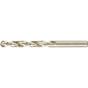 Vrták Spirálový Vrták HSS Fortis do kovu, průměr 10,0 mm