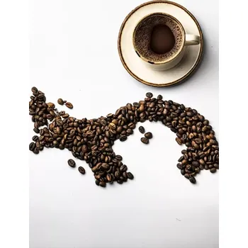 Káva Panama Don Pepe SHG 500g