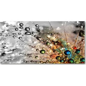 Obraz Kuchyňský panel Pampelišková semínka 100x50 cm + LEPIDLO