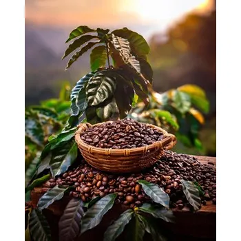 Káva Ethiopia organic 500g/1000g 500g