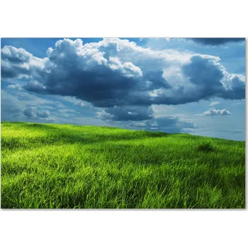 Obraz Skleněný panel 70 x 100 x 4 mm tvrzené sklo broušené zelené