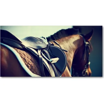 Sedlo na kolo Panel Lacobel Sedlo s třmeny 100x50 + LEPIDLO