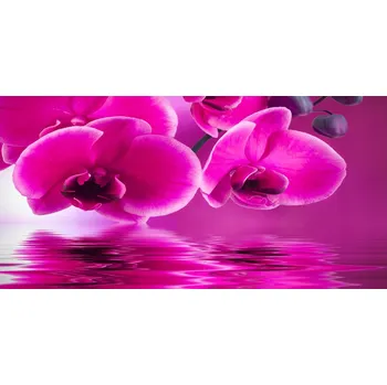 Obraz Kuchyňský panel mezi skříňky Orchidej 100x50 cm + LEPIDLO