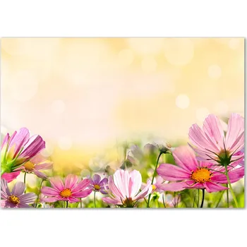 Obraz Skleněný panel 70 x 100 x 4 mm tvrzené sklo broušené růžový