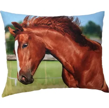 Dekorativní polštářek Polštářek s hlavou koně hnědý (polštář s koňmi , koně , kůň , koňská hlava)