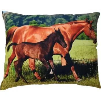 Dekorativní polštářek Polštářek s koněm , kůň a hříbě (polštář s koňmi , koně , kůň , koňská hlava)