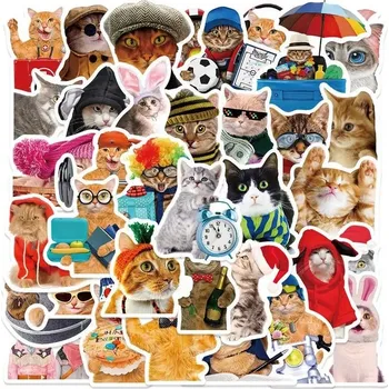 samolepka Samolepky kočka