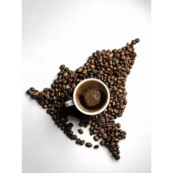 Káva Nicaragua SHG 1000g