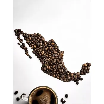 Káva Mexico Maragogype 500g