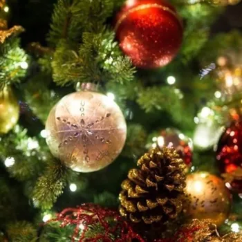 Vonný olej SoyWax - Kouzlo Vánoc 30 ml, 1 ks