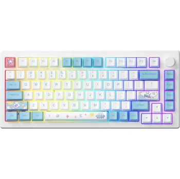 Klávesnice Mechanická klávesnice Akko MOD007HE PC