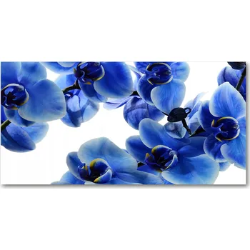 Obklad Kuchyňský panel Modrá orchidej 140x70 + LEPIDLO