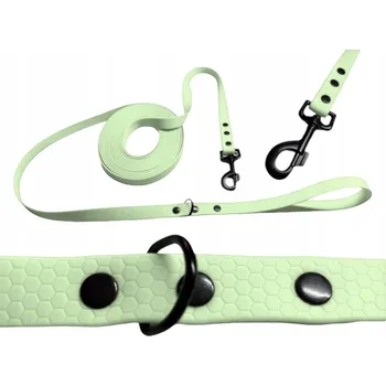 Vodítko pro psa TRENINGOVÉ VODÍTKO psů VODÍTKO 16MM zelené s karabinou