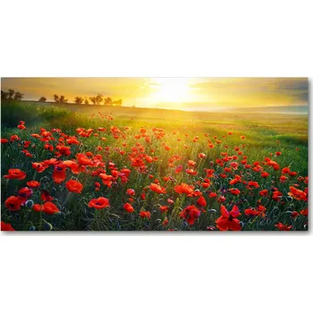 Obraz Ochranný panel Makové pole 140x70 cm + LEPIDLO