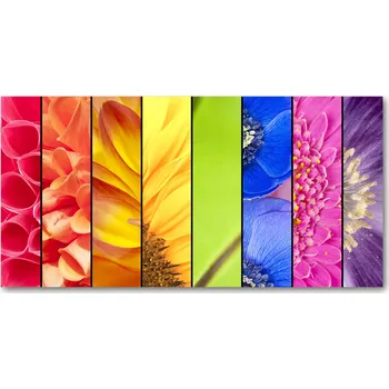 Obraz Kuchyňský panel Barevné květiny 120x60 cm + LEPIDLO