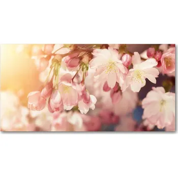 Obraz Ochranný panel Květy třešně 100x50 cm + LEPIDLO
