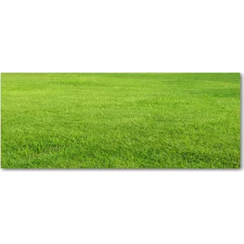 Obraz Lacobel ochrana stěny do kuchyně Zelená tráva XXL