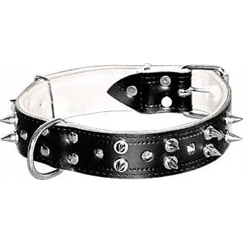 Obojek pro psa Kožený obojek pro psa Zooleszcz, velikost XL