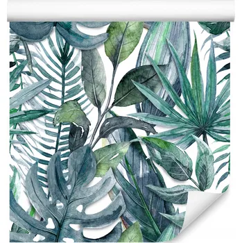 Tapeta Ozdobná tapeta Exotické LISTY Monstera Akvarely Příroda Rostliny