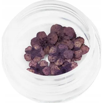 Květinky sušené plátky pro zdobení nehtů HYBRID