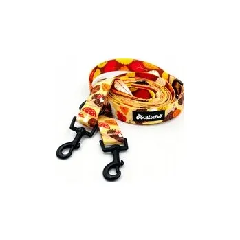 Vodítko pro psa Vodítko vodítko pro ježka Dreamer Psiakrew 300 cm