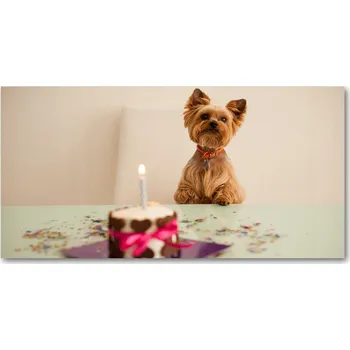Obraz Kuchyňský panel Pes s dortem 140x70 cm + LEPIDLO