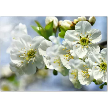 Obraz Skleněný panel 70 x 100 x 4 mm tvrzené sklo broušené bílý