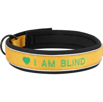 Obojek pro psa Polstrovaný reflexní obojek pro psa s jménem Barva: Žlutá, Velikost: S