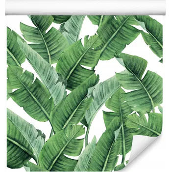 Fototapeta Tapeta do jídelny Barevné banánové listy Příroda Rostliny Abstrakce