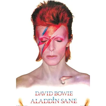 Obraz Plakát David Bowie 61 x 91,5 cm