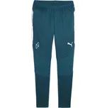 Pánské fotbalové kalhoty PUMA Neymar JR Creativity Training, barva ocean heat, velikost M