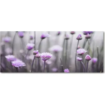 Obraz Lacobel pod skříňky do kuchyně Květy pažitky XXL