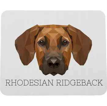 Obraz Rhodesian Ridgeback, africký pes na lvy - geometrická podložka s fotografií