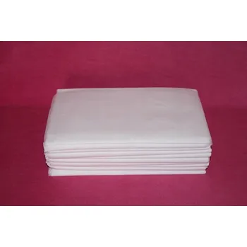 Prostěradlo Prostěradlo z netkané textilie skládané 100x200cm 10 ks