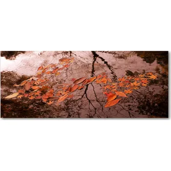 Obraz Lacobel pod linku do kuchyně Listy na vodě XXL