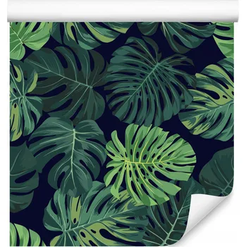 Fototapeta Tapeta do jídelny EXOTICKÉ Listy Monstera Příroda 3D Efekt