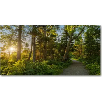 Obraz Panel z tvrzené sklo do kuchyně Les 100x50 + LEPIDLO