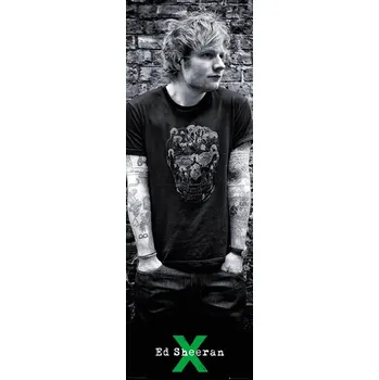 Obraz Plakát Ed Sheeran 53 x 158 cm