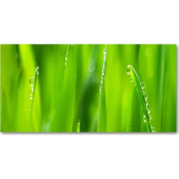 Obraz Ochranný panel Mladý oves 120x60 cm + LEPIDLO