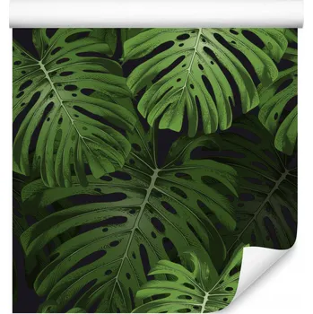 Fototapeta Tapeta do obývacího pokoje LISTY Exotické Monstera Příroda Rostliny Abstrakce