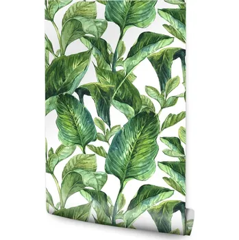 Fototapeta Tapeta Tropické Listy Akvarel /93345661
