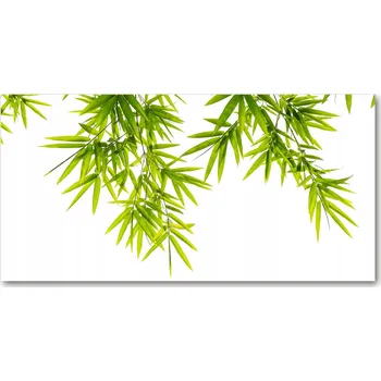 Obraz Kuchyňský panel Bambusové listy 140x70 cm + LEPIDLO