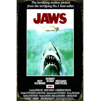 Obraz Film/Hudba 20 x 30 cm