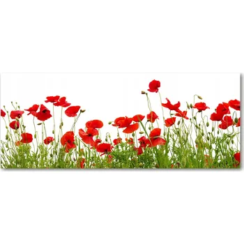 Obraz Panel z tvrzeného skla mezi skříňky Maki XXL