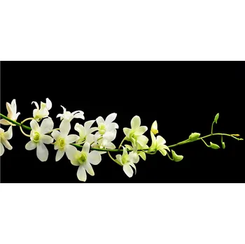 Obraz Kuchyňský panel mezi skříňky Orchidej 120x60 + LEPIDLO