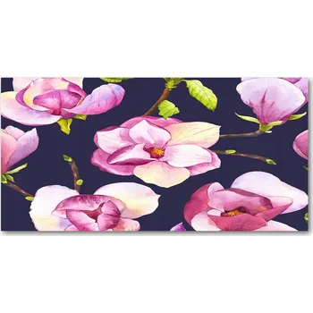 Obraz Kuchyňský panel mezi skříňky Magnolie 140x70 cm + LEPIDLO